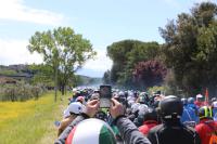 VWD Pontedera 2024i